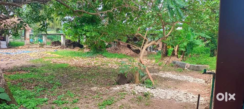 4000 sqrtft godown 55 cent lorry enterence