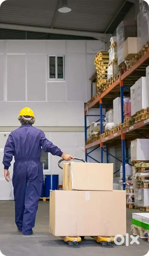 गोदाम में पैकिंग के लिये लड़के / लड़कियों की ज़रूरत है!