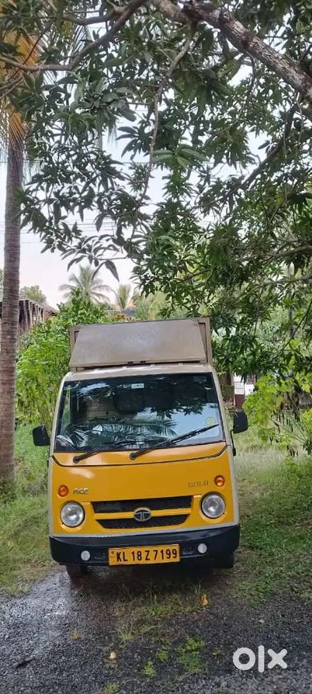 TATA ACE GOLD P CAB