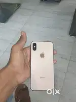 Madar bode pada ga bas