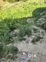 Plot for sale  domana Jammu