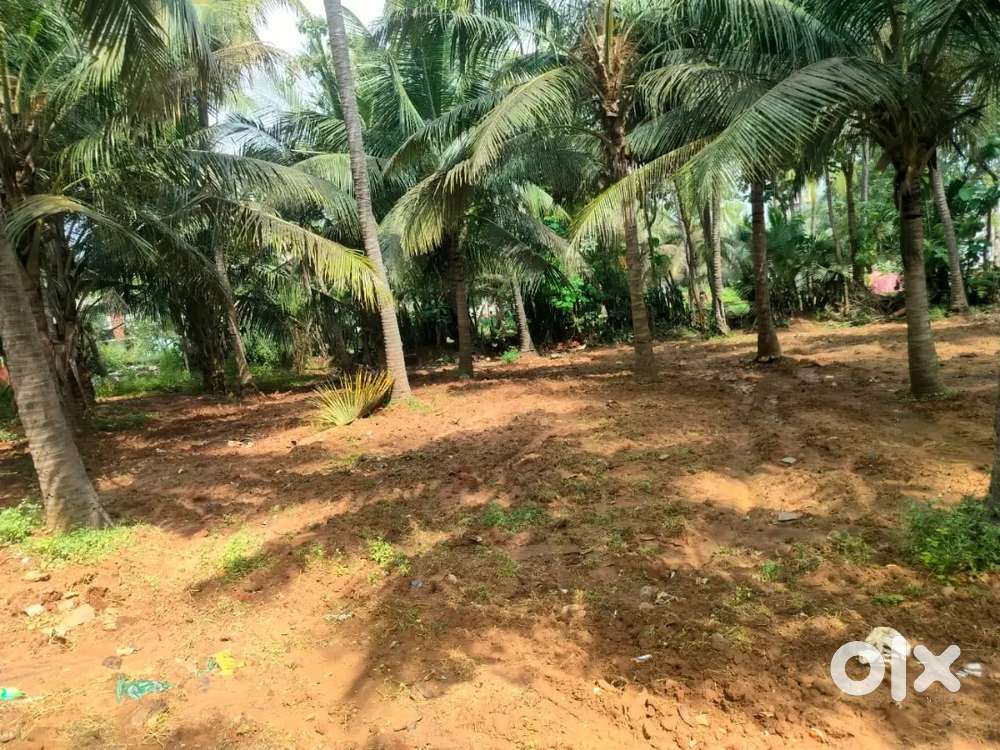850 sqy land for sale near beach suitable for business