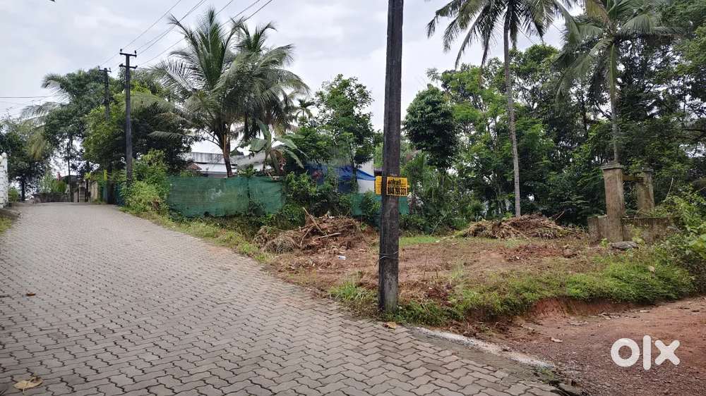 6cent plot for sale Ernakulam kuzhivelipady kurlad