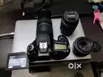 Canon 90D + 50mm Prime + 55-250mm Zoom + 18-55mm Lens for Sale