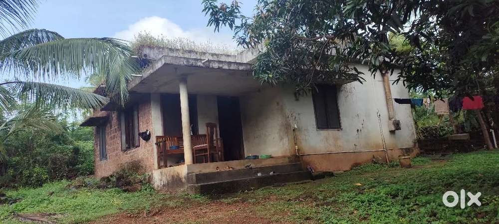 Urgent salee... House for sale . 6 cent plot  . Call aaku adjust aakum
