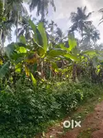 Karaparamba 10.75 Cent House Plot