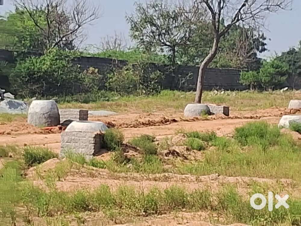 “Where Trust Meets Land