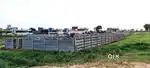 Near by House's plots for sale at Shadnagar Rajapur. MNC companies