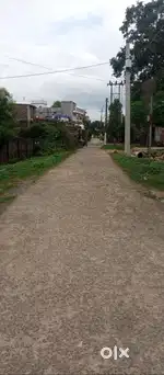 Urgent need to sale my plot in shahpur, chainpur
