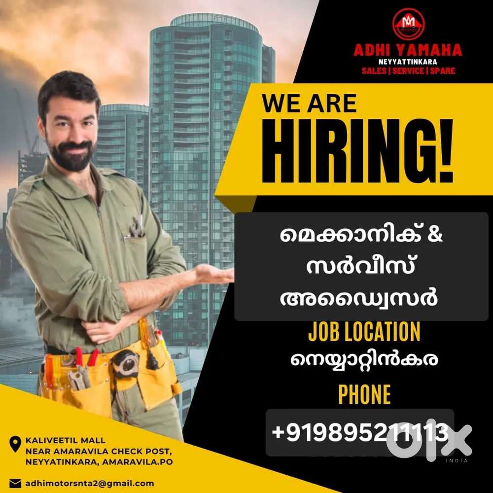 Mechanic and  Service Adviser