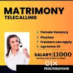 MATRIMONY TELECALLING
