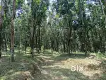 7 Acres rubber farming land with 3bhk house in belthangadi Karnataka