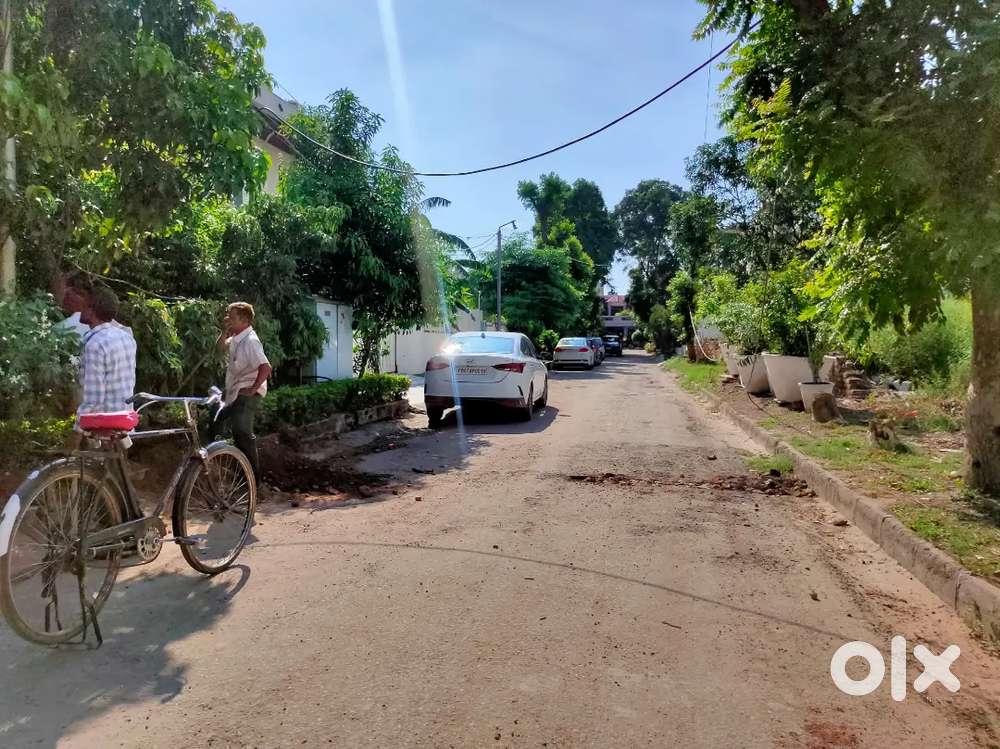 1.25 kanal independent plot for sale in sector 38 b