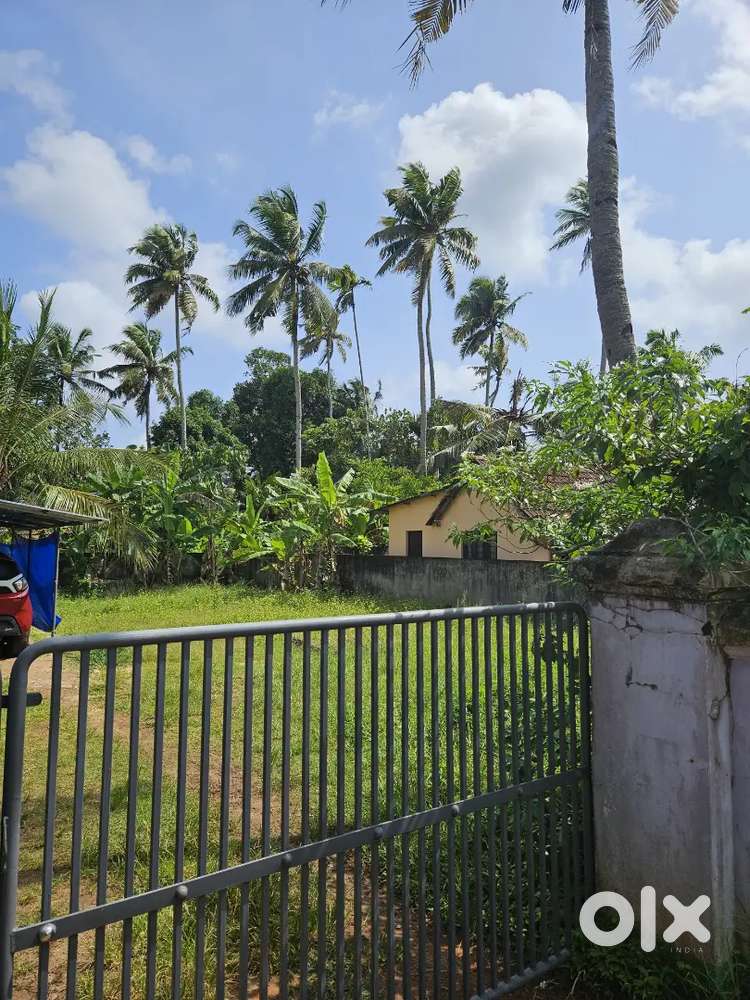 Plot for sale with house in Haripad Town Centre