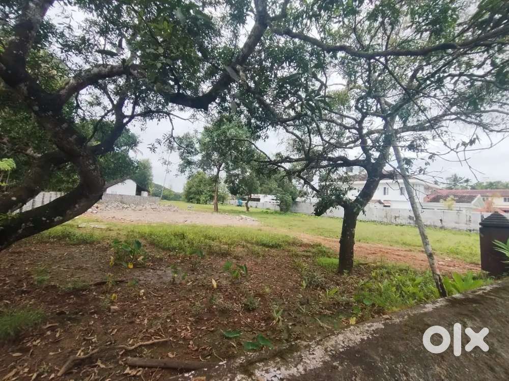 Aluva Desom 6 cents house plots for sale immediately