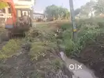 Agriculture Land