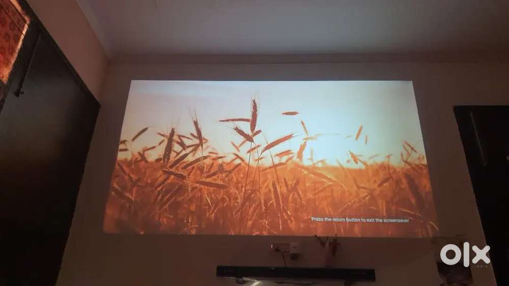 Projector lifelong truepixel