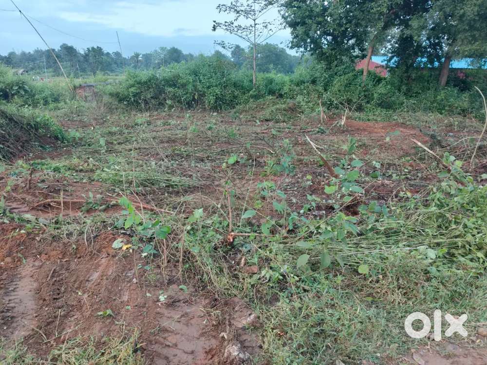 Plot in Dudhani near Pusharo Nadi