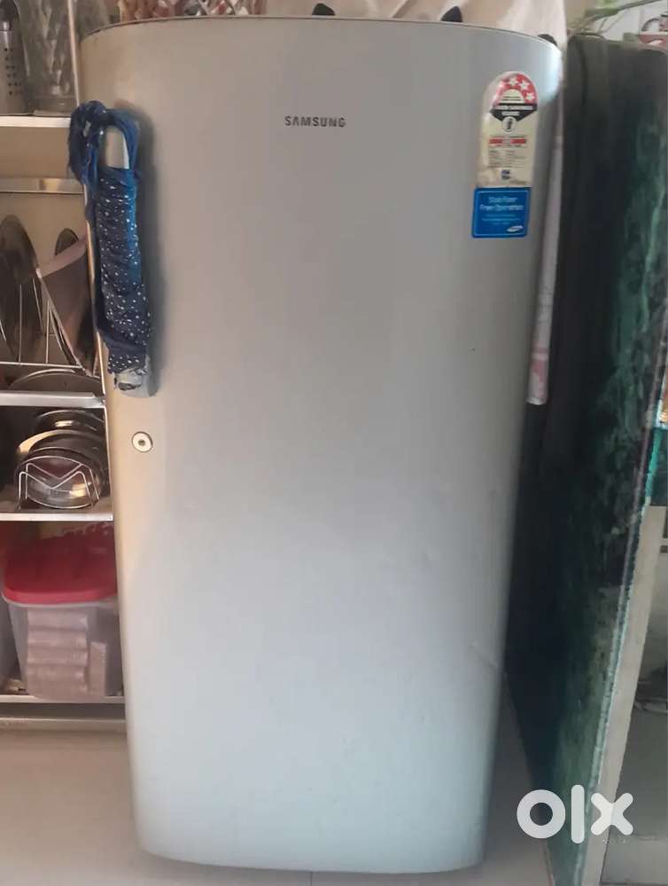 Samsung company fridge