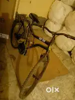 Cycle h all ok
