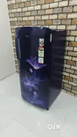 LG digital inverter 190 litres fridge works on inverter