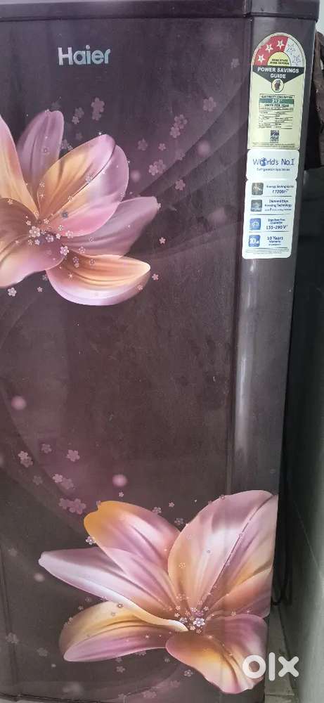 Fridge, tv with dishtv , mixer