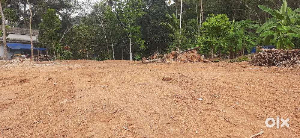 35 cent plot suitable for build houses and farming vettinad,vattappara