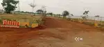 Your dream come true