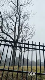 2000 sqft land for Rent