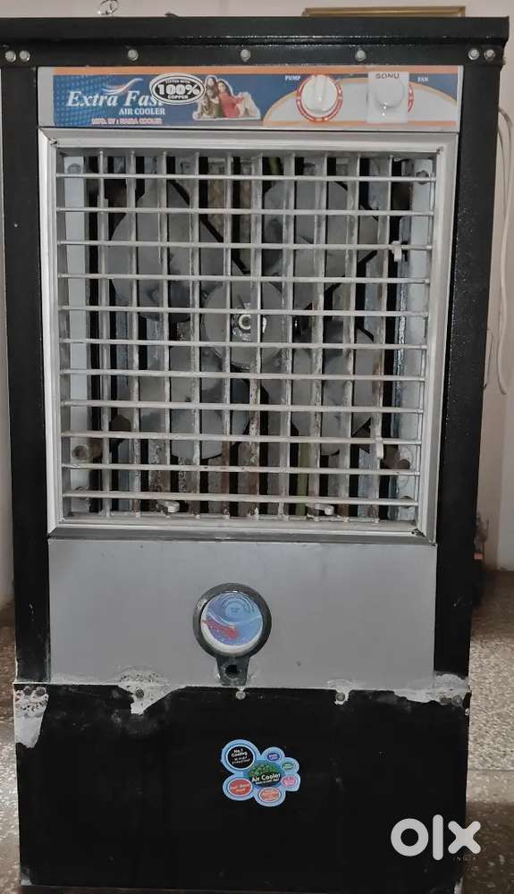 1 year old cooler