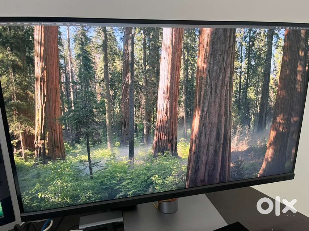 Monitor Asus 27 proart Display PA 90LM08E0-B01K10 SBLMSB001882