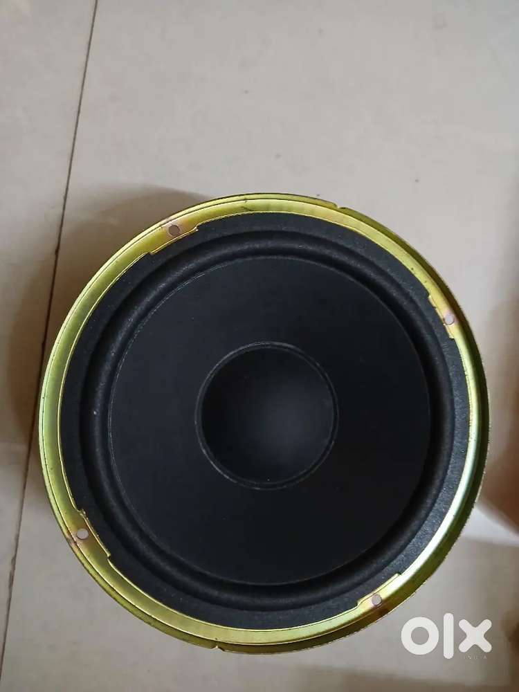 8 inch Woofers and tweeters