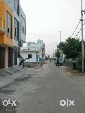 100 Gaj plot fully developed colony in Tilpata