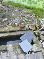 50 गज प्लॉट बिक्री हेतु , बैंक कॉलोनी, निकट कांशीराम नगर, मुरादाबाद