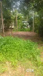 Lands for sale