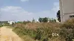 10 Gunta land muncipal limit area.