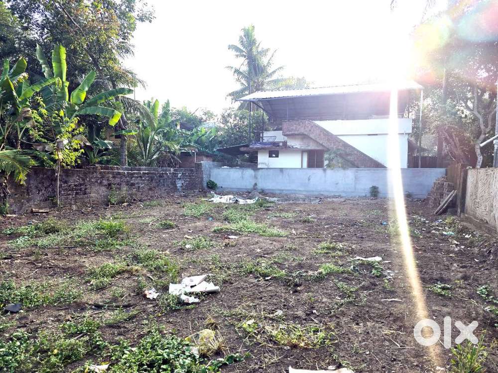 8 Cent Residential Land for Sale – Near Kongorpilly, Karingamthuruth