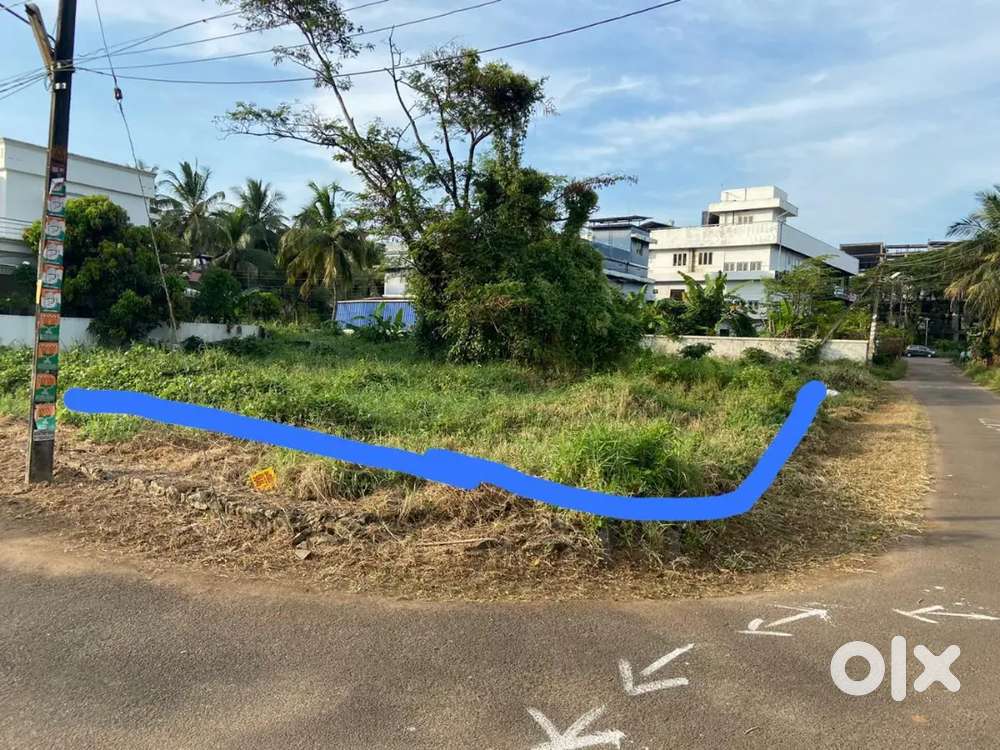 Thrissur puzhakkal main bus route near 10 cent plot for sale