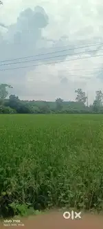 near around 6 acre land for sale in Village dhourang