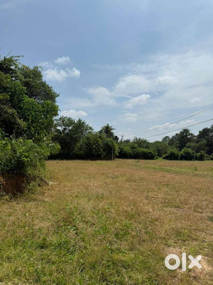 പാലക്കാട് കുഴൽമന്ദത്ത് Residential Plot വില്പനയ്ക്ക്