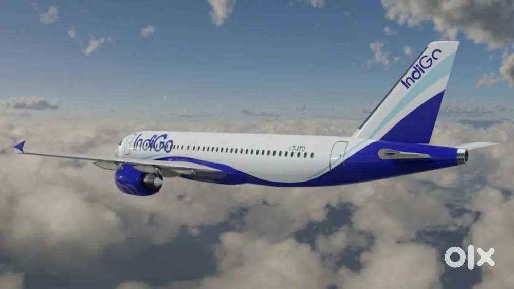 Male and Female Hiring for indigo Airlines Airport job in All India