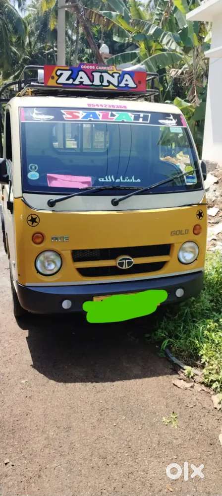 Tata ace gold petrol
