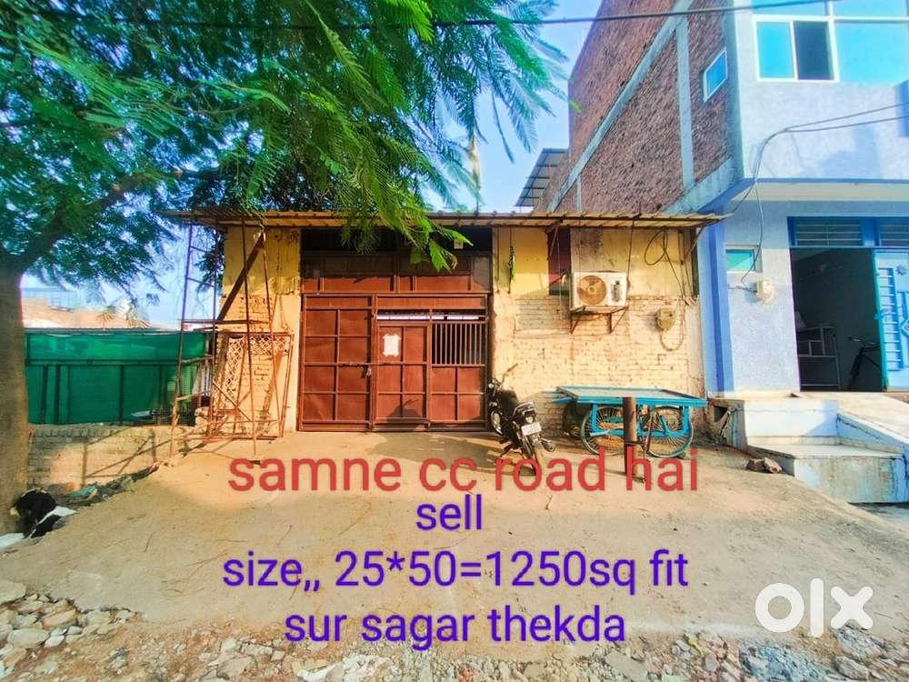 Palot dusri chij lena he