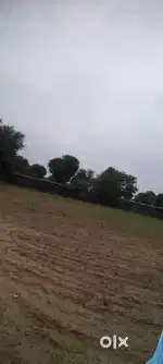 2.5 bheega jamin sikandra choraha ( general soda hai) 4 traf boundry.