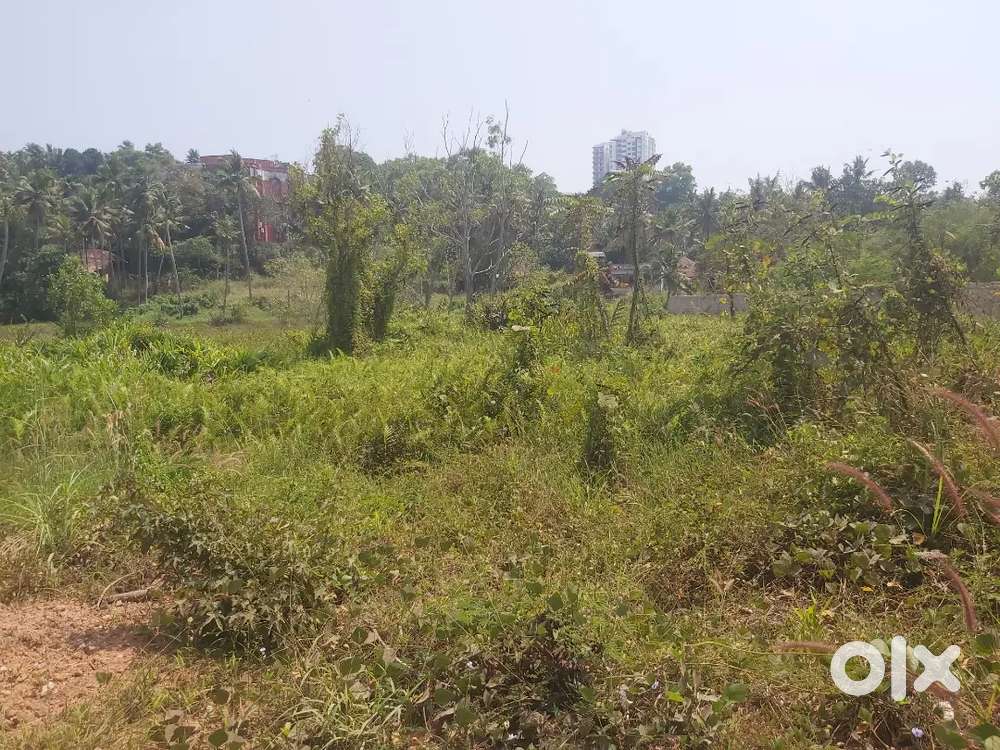 20cents land for sale