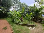 6 cent plot for sale in karakulam