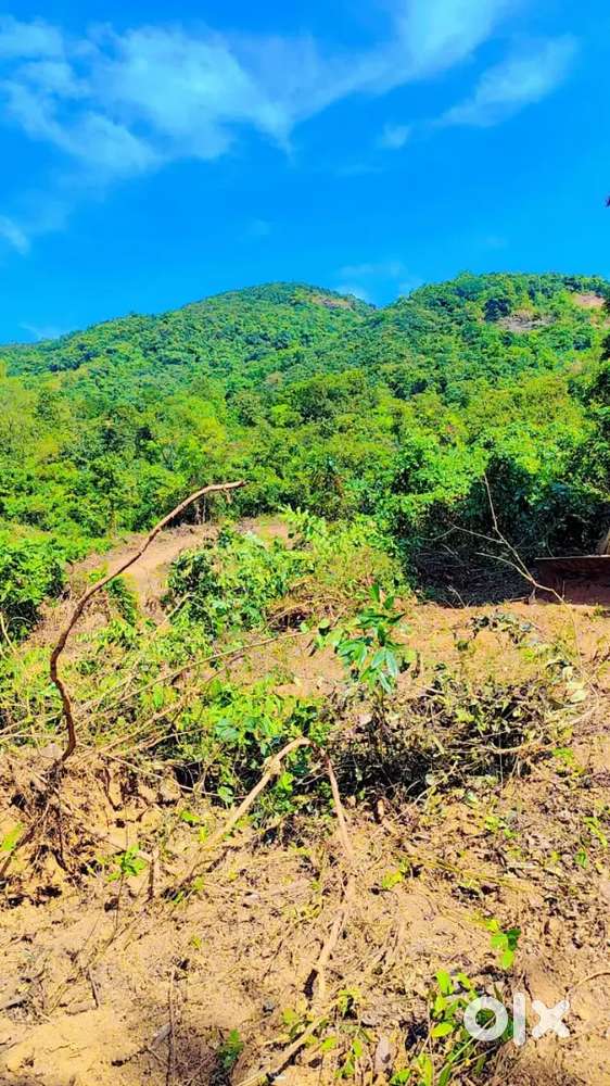 PLOTS WITH BEAUTIFUL MOUNTAIN VIEW, AREA 1026SQ MTS, @₹1111/SQ MTS