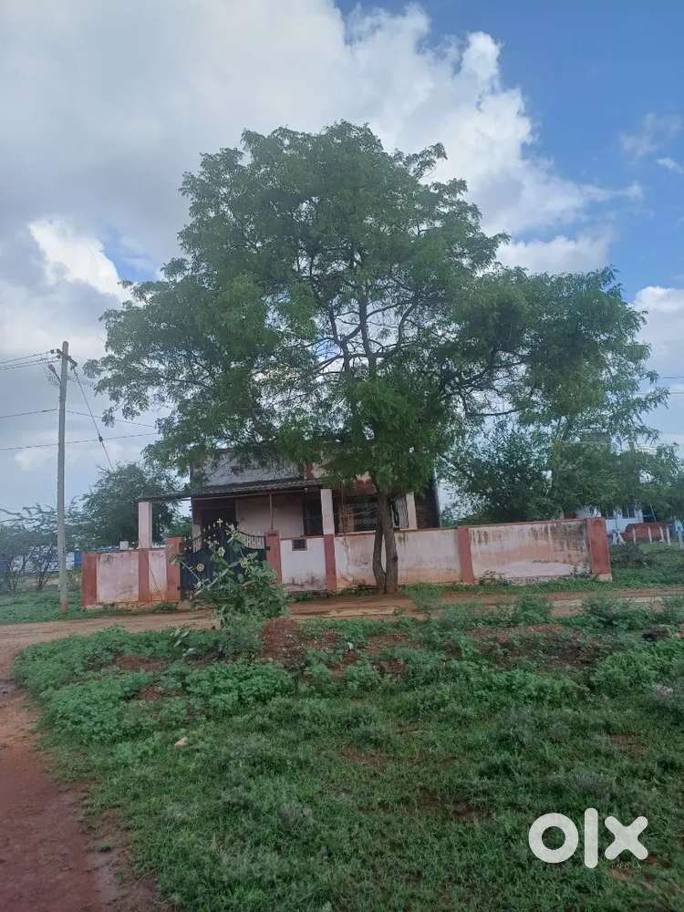 5.5 cent plot size 60 40 with 30 feet road. Near vm chattram