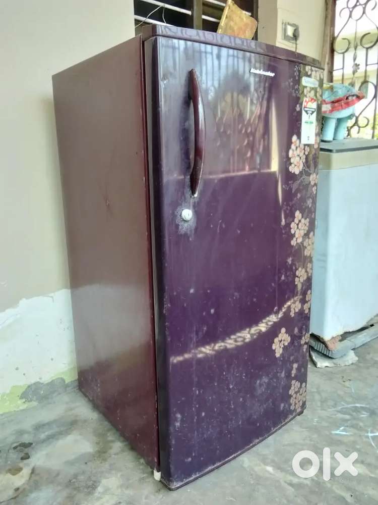 Kelvinator 4* Refrigerator