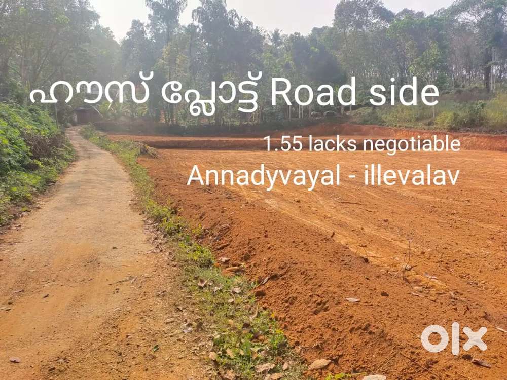 Manarcad road side